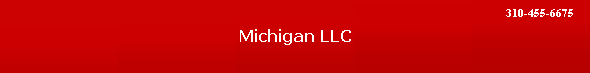 Michigan LLC